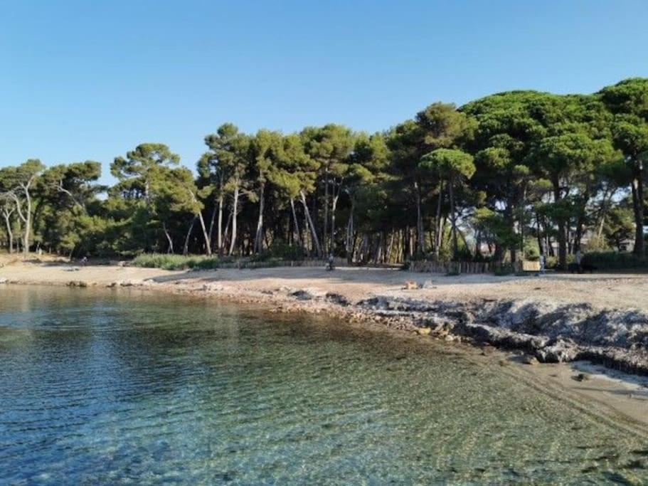 Charmant Studio Climatise 24 M2 Terrasse A 100M De La Plage Saint-Mandrier-sur-Mer Exteriör bild